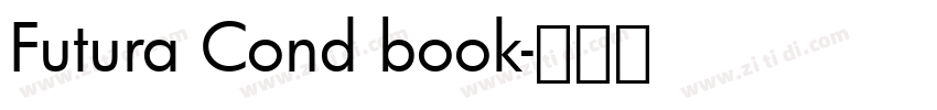 Futura Cond book字体转换